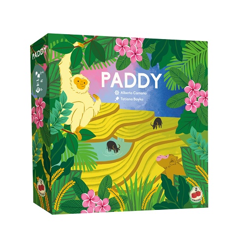 Paddy